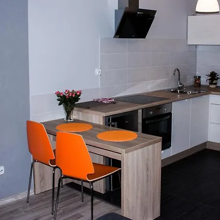 Studio Pionier Apartment