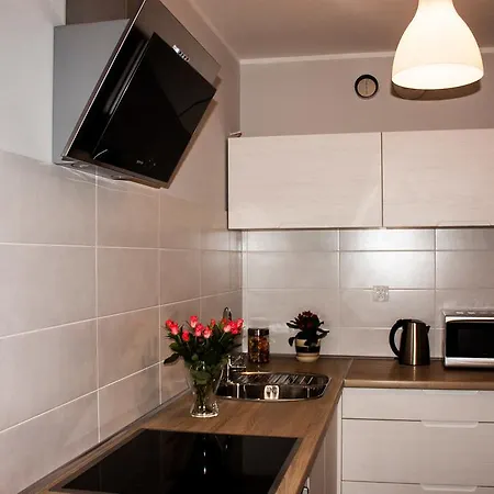 Studio Pionier Apartment Wroclaw