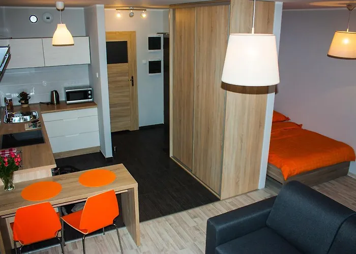 Apartment Studio Pionier *