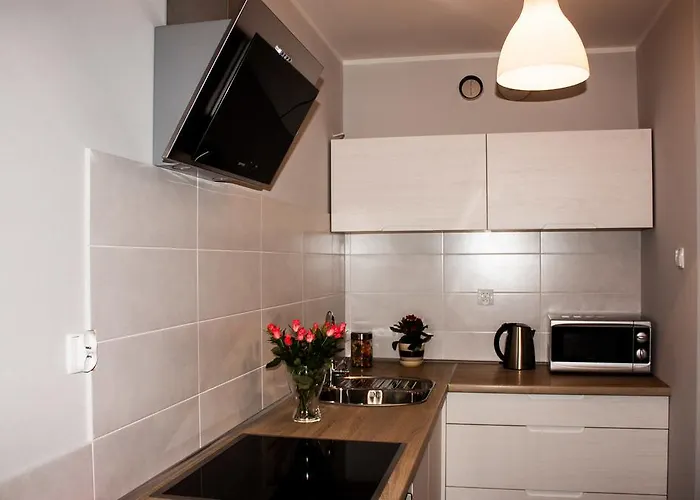 Studio Pionier Apartment Wroclaw