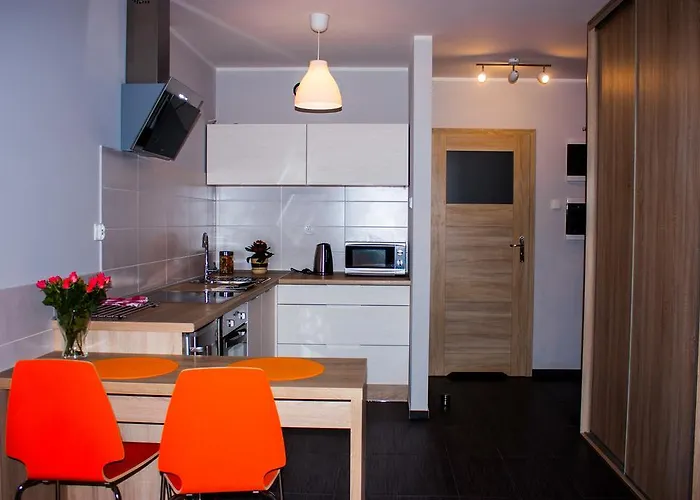 Apartment Studio Pionier *